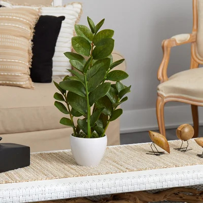 22" Artificial Zamioculcas Plant in Planter | Wayfair North America