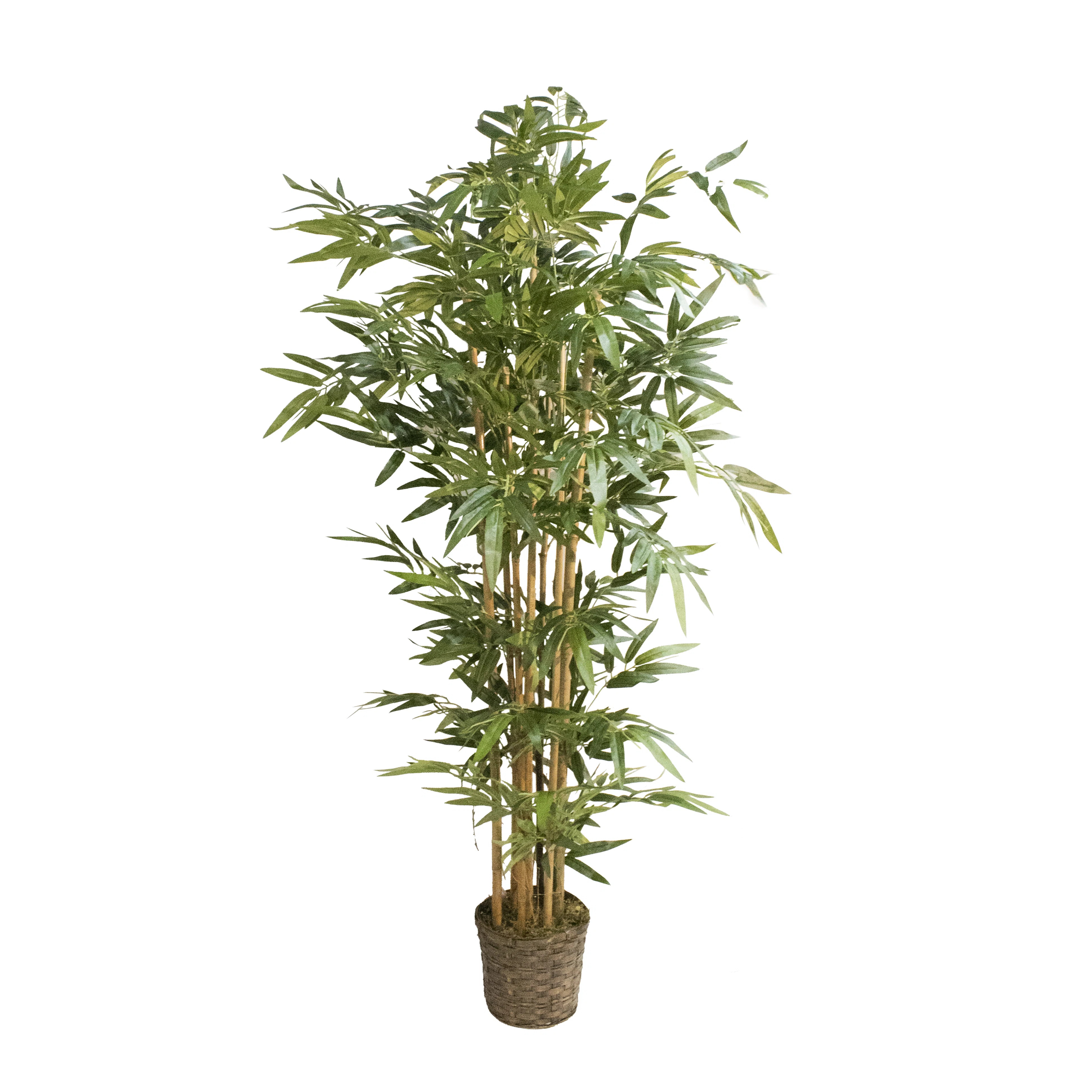 72" Tall High End Realistic Silk Bamboo Tree in Basket | Wayfair North America