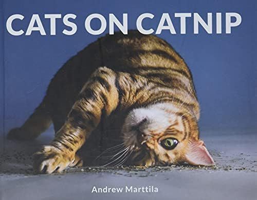 Cats on Catnip | Amazon (US)