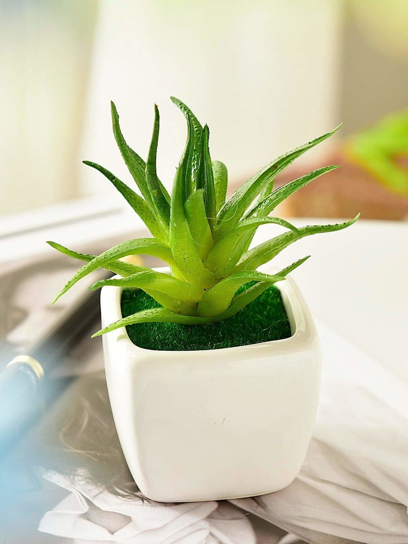 Artificial Succulent Plant With Ceramic Pot | Stella La Moda Ltd