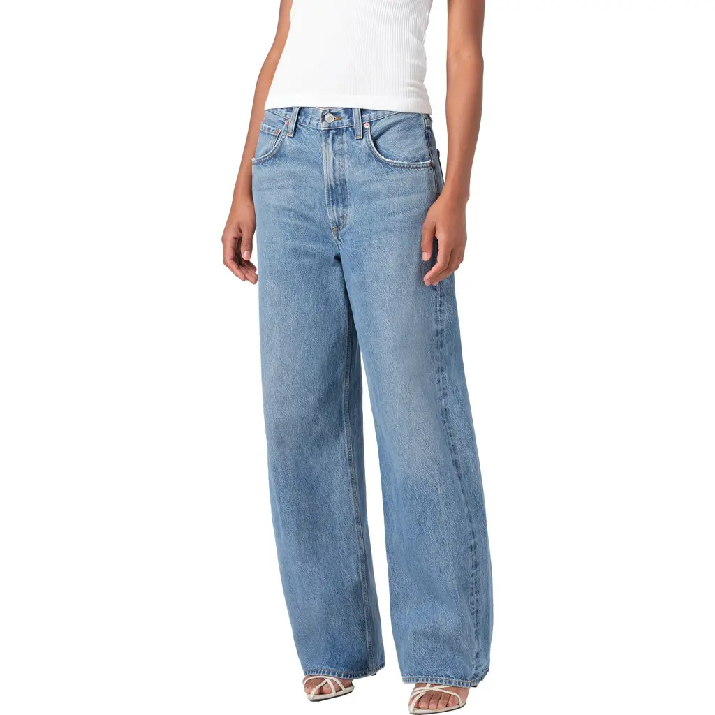 AGOLDE Low Curve Jeans in Fairway at Nordstrom, Size 29P | Nordstrom