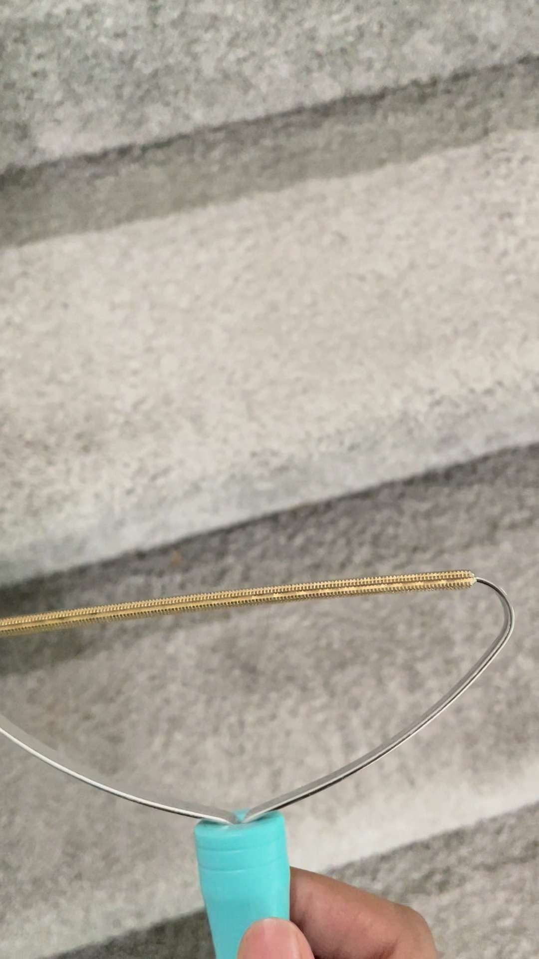 My favorite carpet cleaner! 

 #LTKSeasonal #LTKHome #LTKSaleAlert