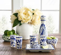Puebla Porcelain Tequila Set | Pottery Barn (US)