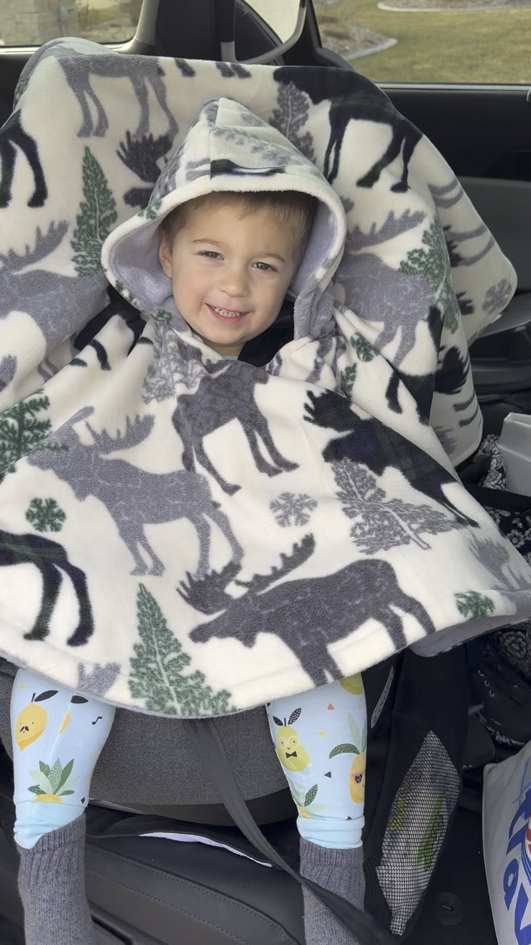 Car Seat Poncho Girl Fleece Car curated on LTK