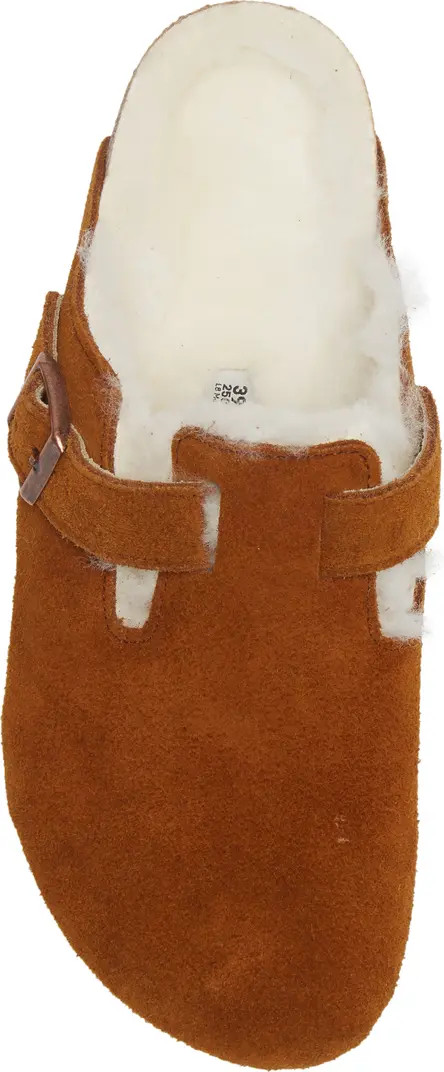 Boston Genuine Shearling Lined Clog (Women) | Nordstrom