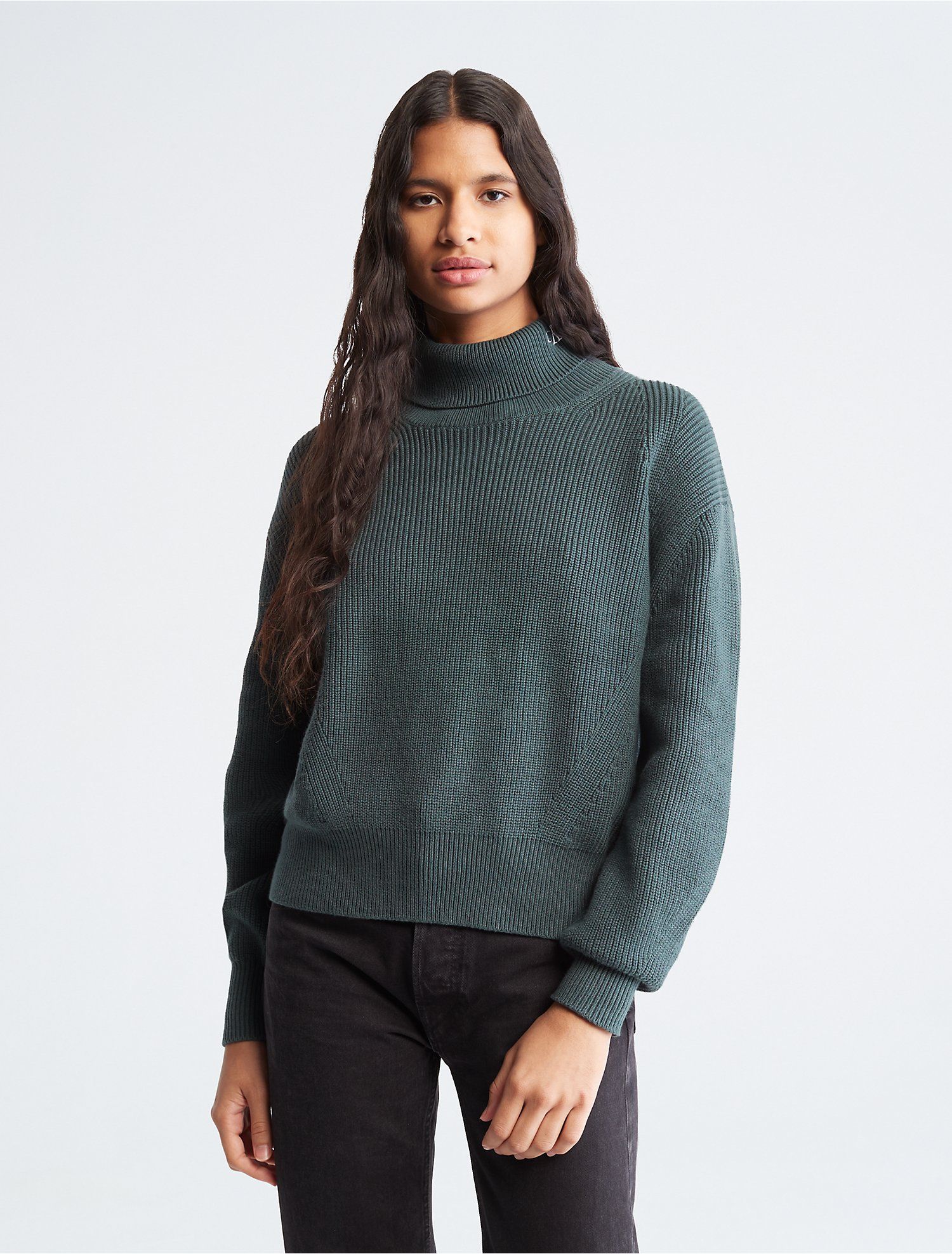 Chunky Roll Neck Sweater | Calvin Klein | Calvin Klein (US)