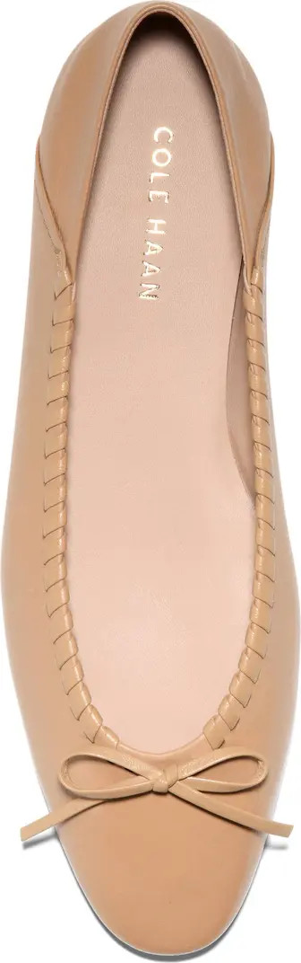 Jaya Travel Ballet Flat (Women) | Nordstrom