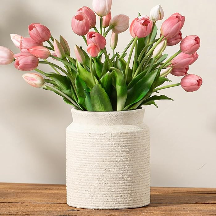 Dobbyby | Amazon (CA)