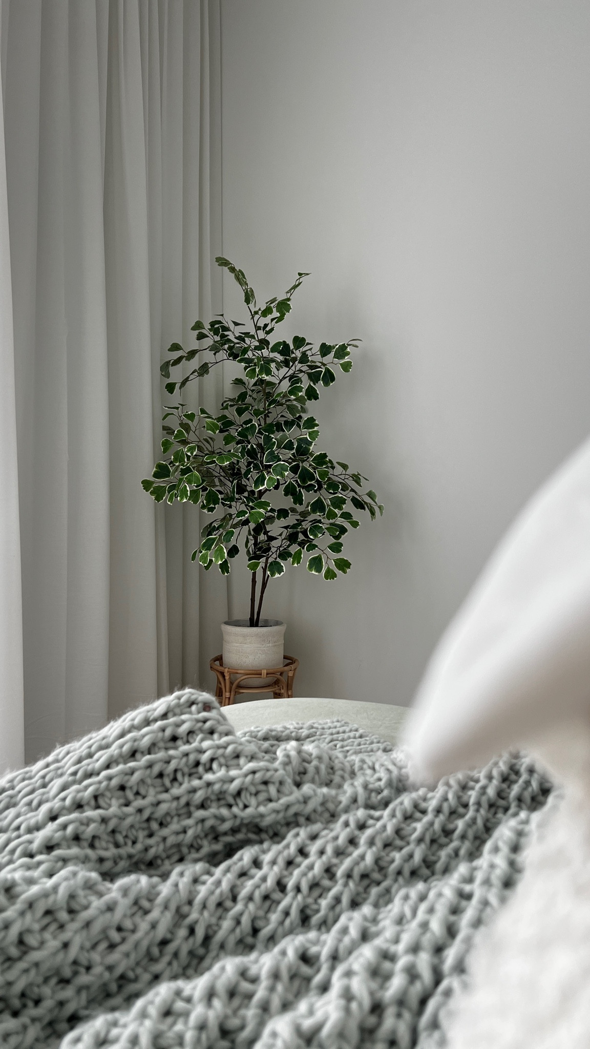 loving my faux plant from hearth and hand magnolia from target. perfect addition to my neutral bedroom decor with a pop of color 

#LTKhome