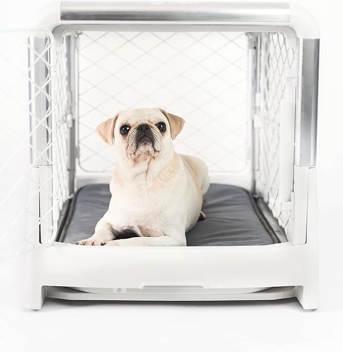 Diggs Revol Furniture Collapsible Dog Crate, Portable Dog Crate, Travel Dog Crate, Dog Kennel, Do... | Amazon (US)