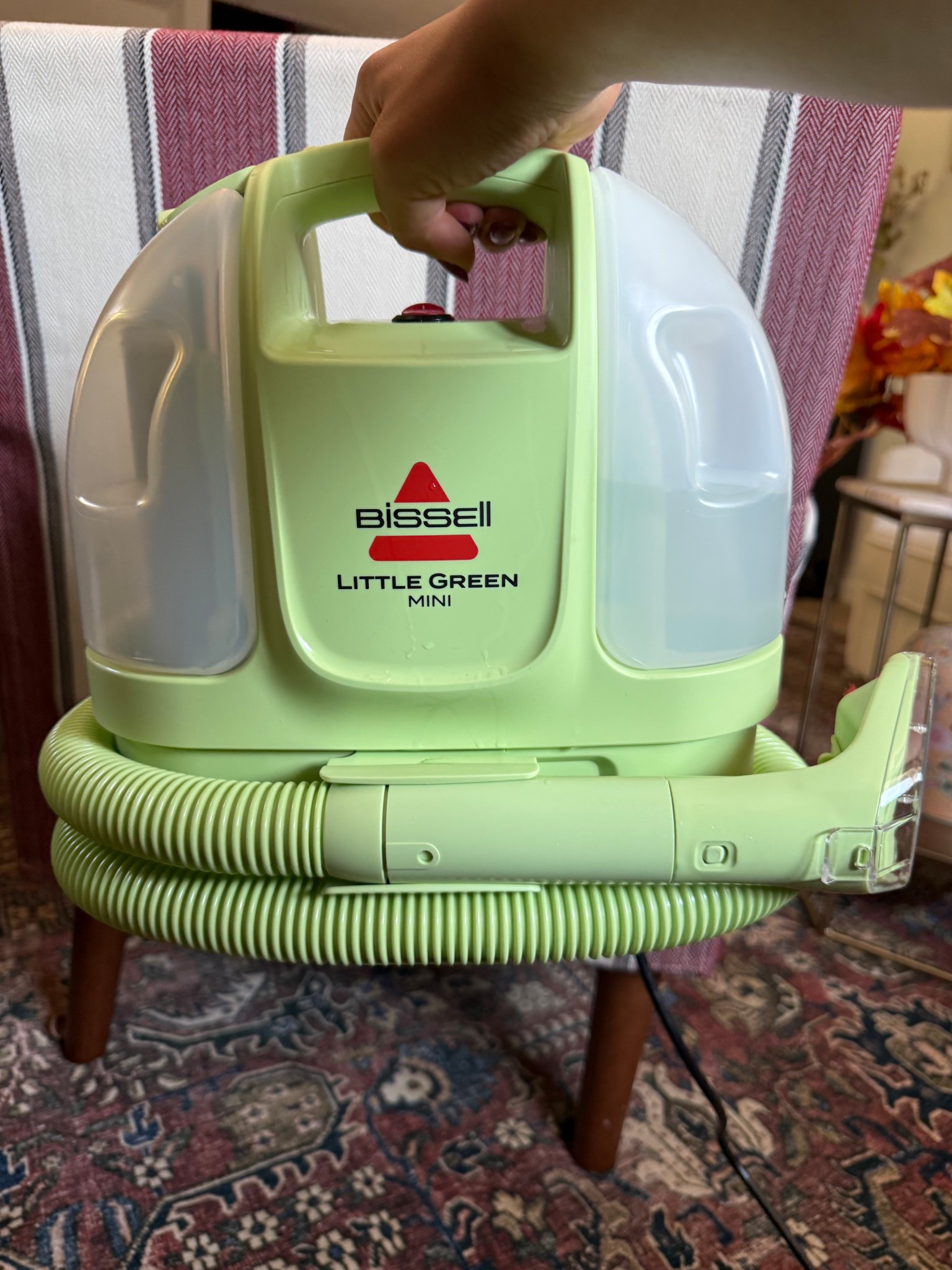 Mini carpet cleaner🤍

#LTKHome