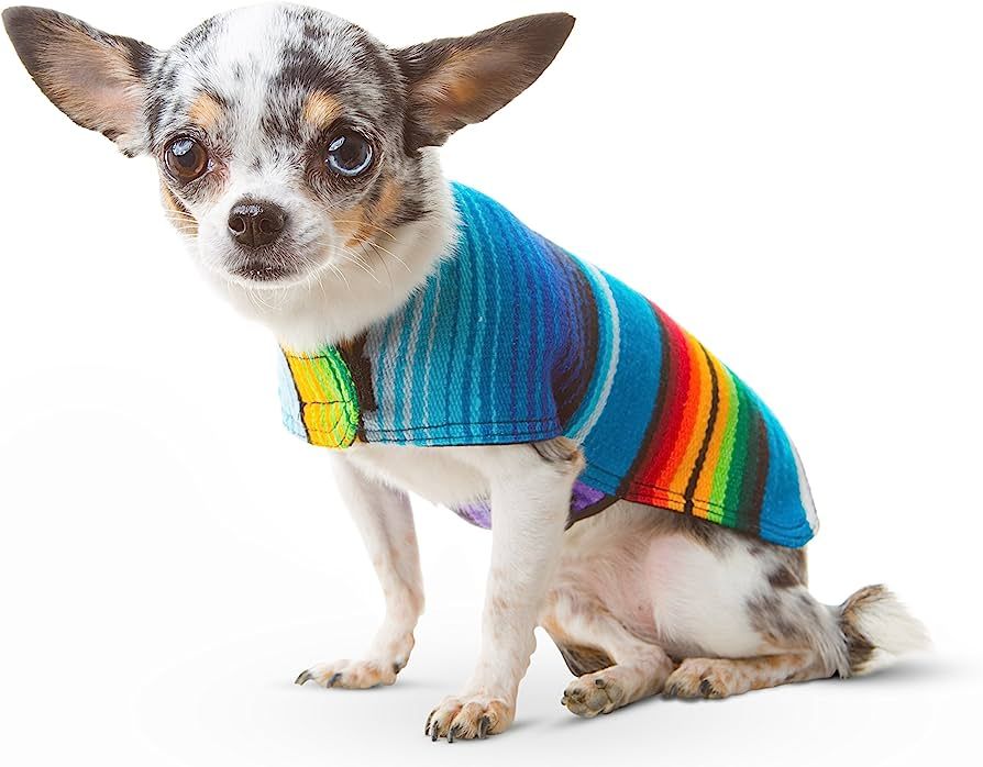 Dog Clothes - Handmade Dog Poncho - Cinco De Mayo Chihuahua Costume from Authentic Mexican Blanke... | Amazon (US)