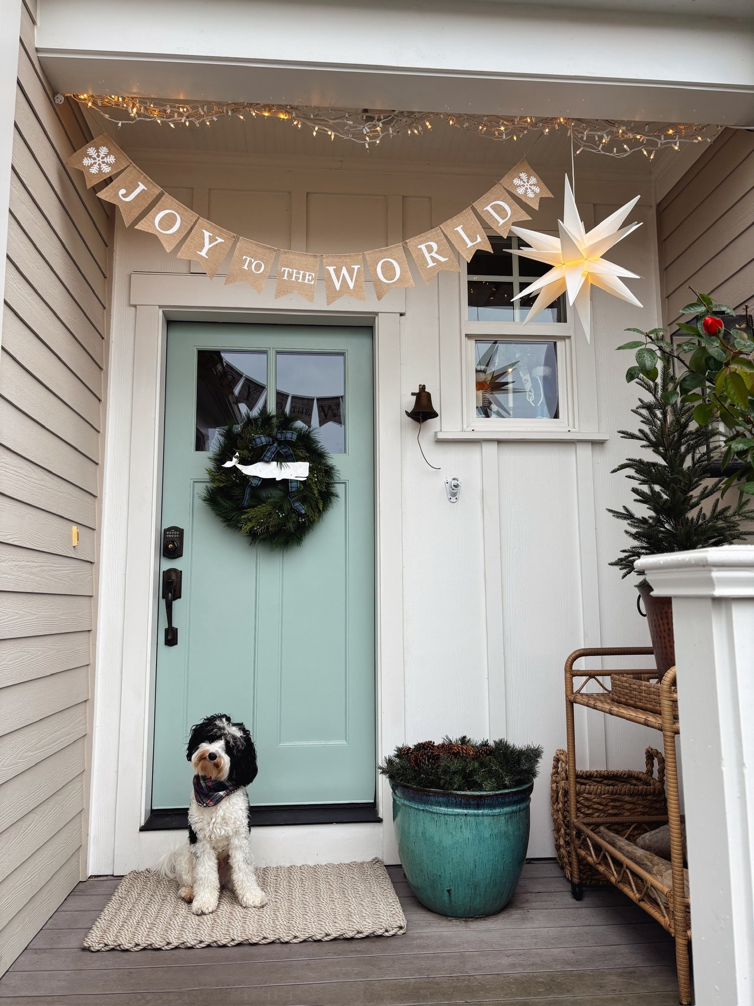 Winter banner options, coastal doormats, star, plaid ribbon, a whale …pup 😬

#LTKSeasonal #LTKGiftGuide #LTKHoliday