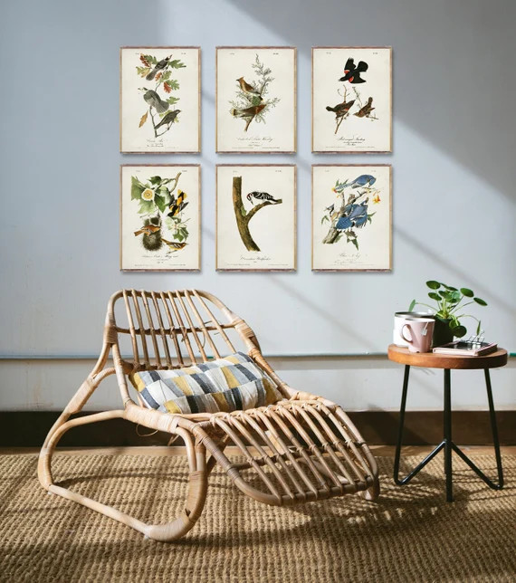 Vintage BIRDS 6 Poster Set Bird Illustration Prints Vintage | Etsy | Etsy (US)