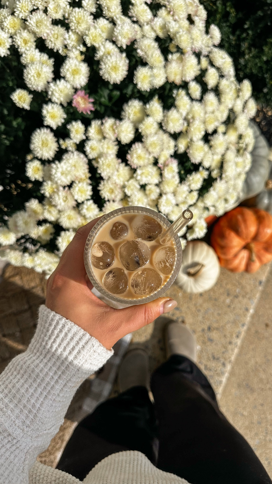 Sunday afternoon lattes, October breezes, and the coziest outfit — 

Happy Sunday! 🤍🕊️
