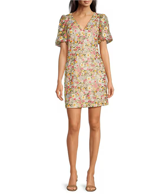 Embroidered V-Neck Short Puff Sleeve Fit and Flare Dress | Dillard's