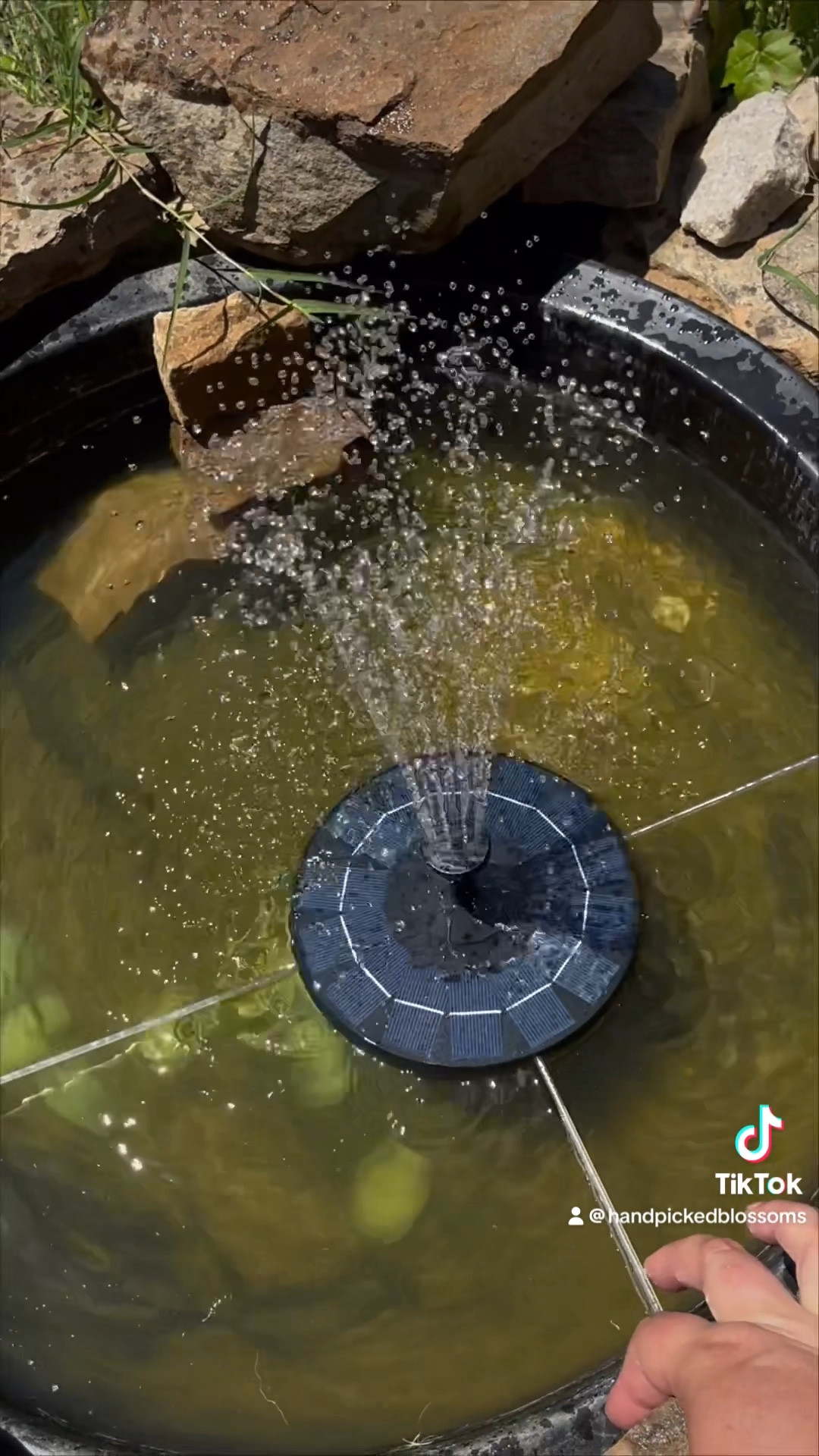 Transform your garden into a serene oasis with this Solar Powered Water Fountain! Perfect for bird baths or frog ponds, this eco-friendly fountain harnesses the power of the sun to bring soothing water sounds to your outdoor space. 

Customize your ambiance with interchangeable fountain filters, allowing you to switch up the sound and style of your fountain effortlessly. Whether you prefer a gentle trickle or a lively splash, these filters have you covered.

Easy to install and maintain, the solar-powered water fountain is not only a stunning addition to your garden but also a step towards sustainability. Elevate your outdoor experience and create a haven for wildlife with this versatile water fountain today!

#solarfountain 
#solarwaterfountain #waterfountain 

#LTKSeasonal #LTKSaleAlert #LTKHome