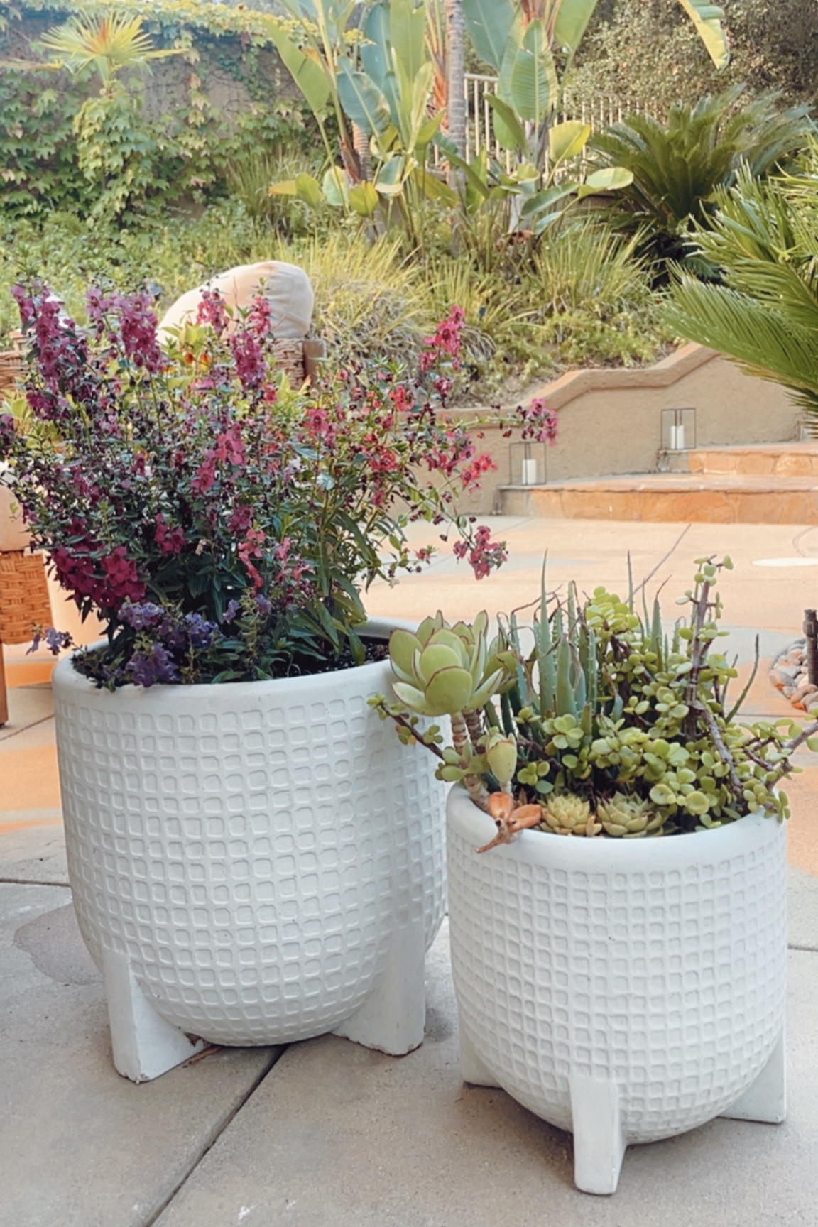 One of my favorite outdoor planter options! Comes in two sizes. 👍🏻

#whiteplanter #outdoors #plants

#LTKHome #LTKFindsUnder100 #LTKStyleTip