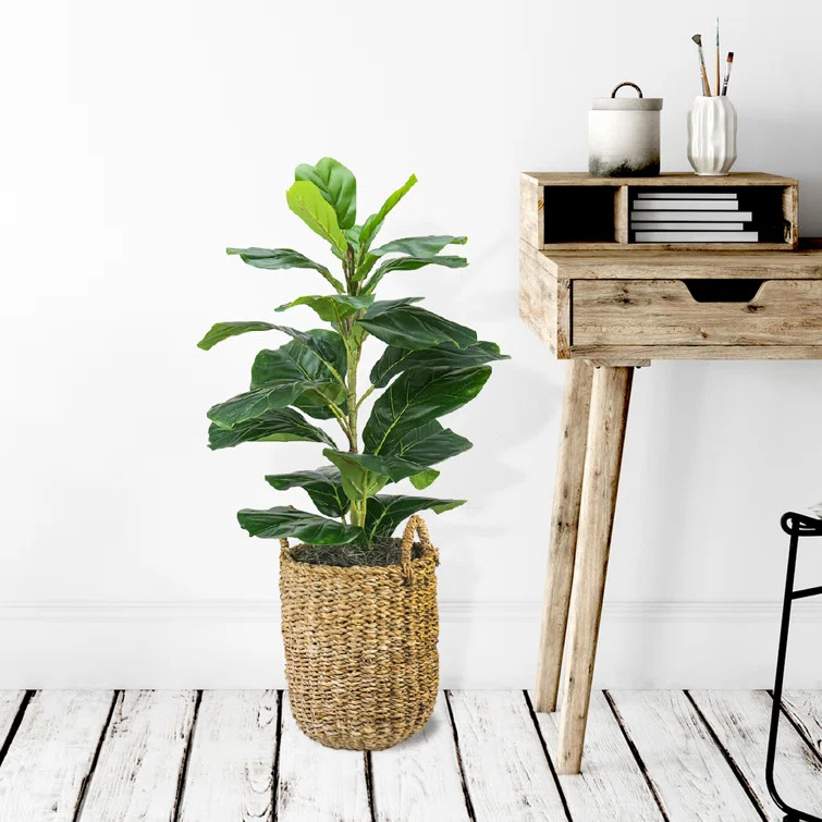 Faux Fiddle Leaf Fig Tree in Rattan Basket | Wayfair North America