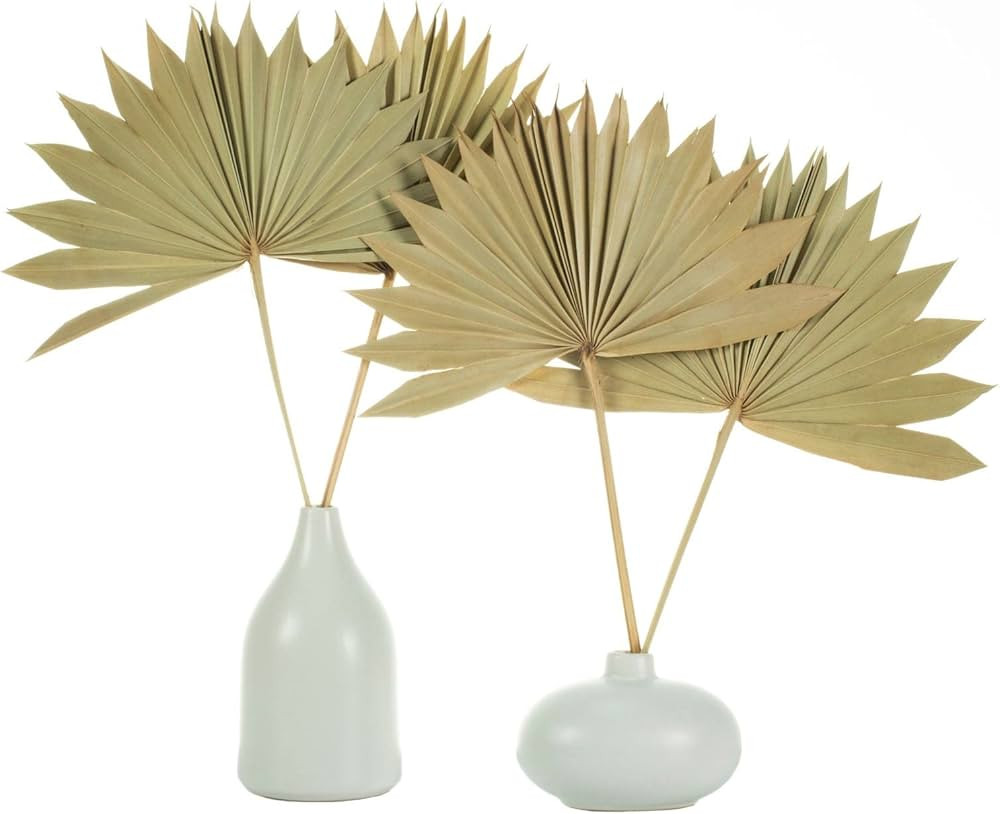 Natural Large Dried Palm Leaves-4 pcs Dried Palm Fans, Dried Palm Spears, Artificial Plants Palm ... | Amazon (US)