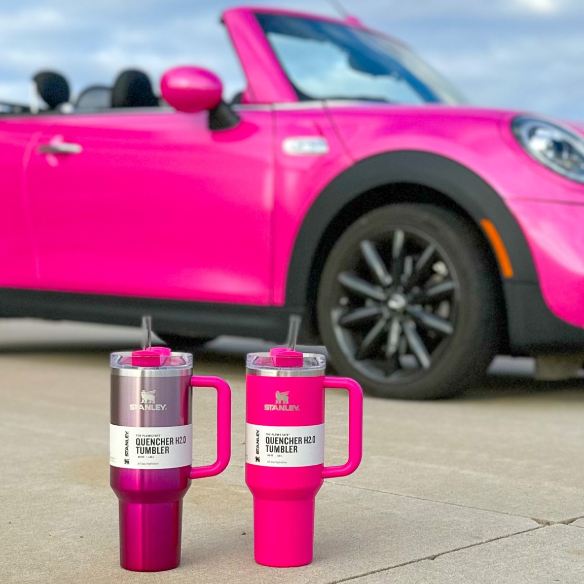 Perfect pink Stanley’s! 