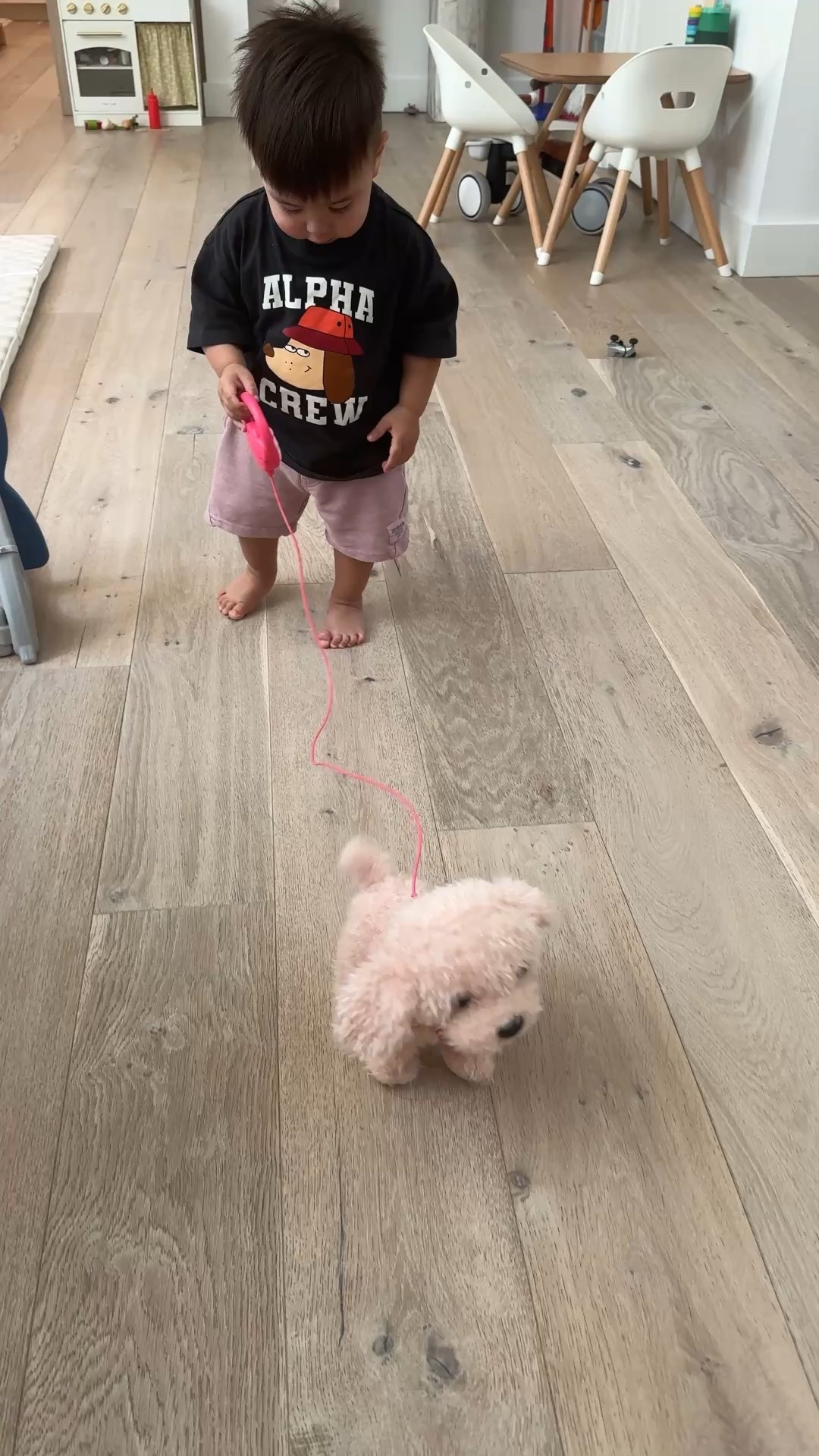 Best little toddler toy 