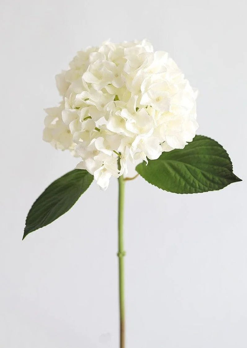Real Touch Hydrangea in Talc White  - 18" | Afloral