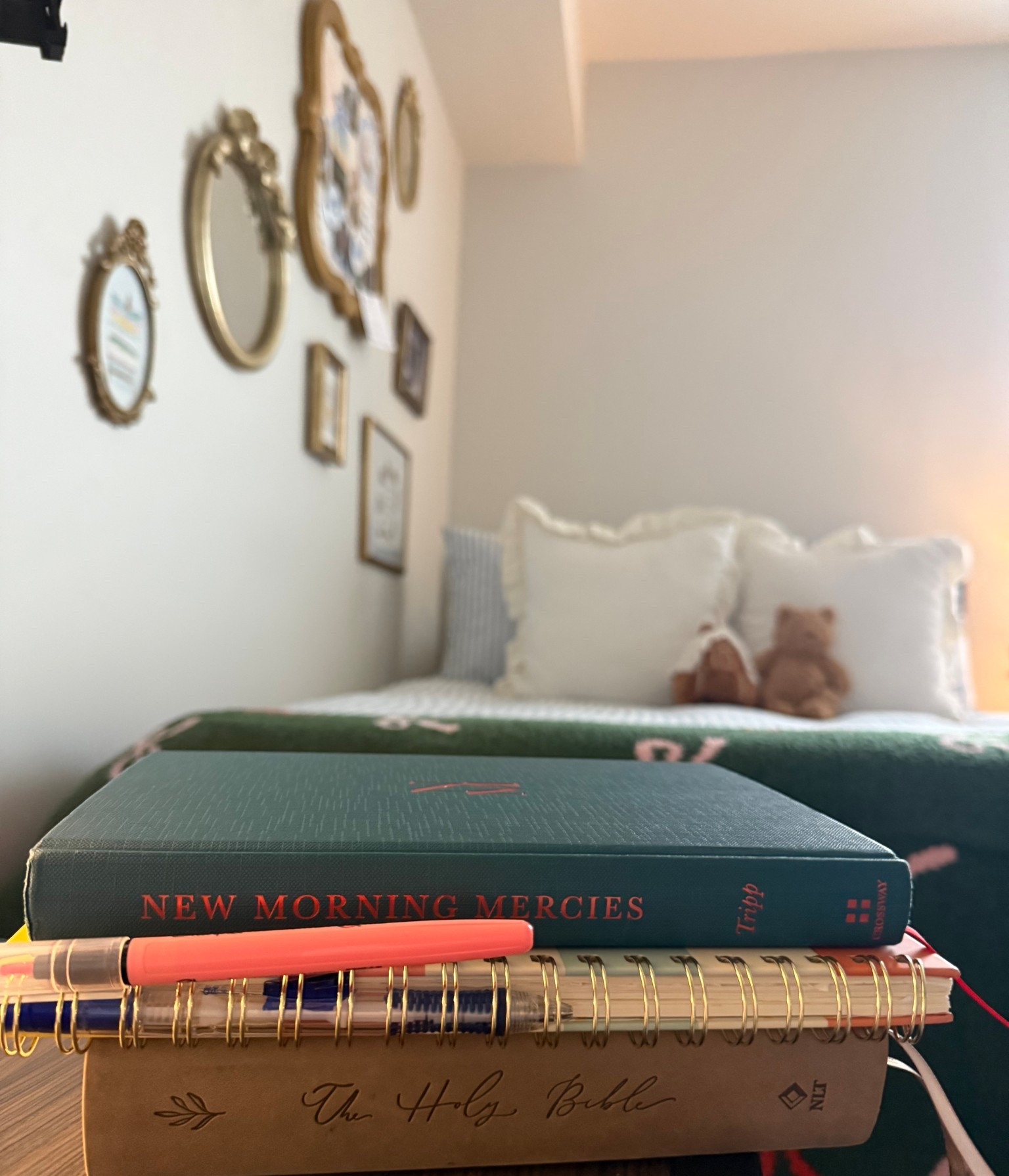 The BEST morning devotional!📖🕊️

#LTKHome #LTKselfcare #LTKmorningroutine