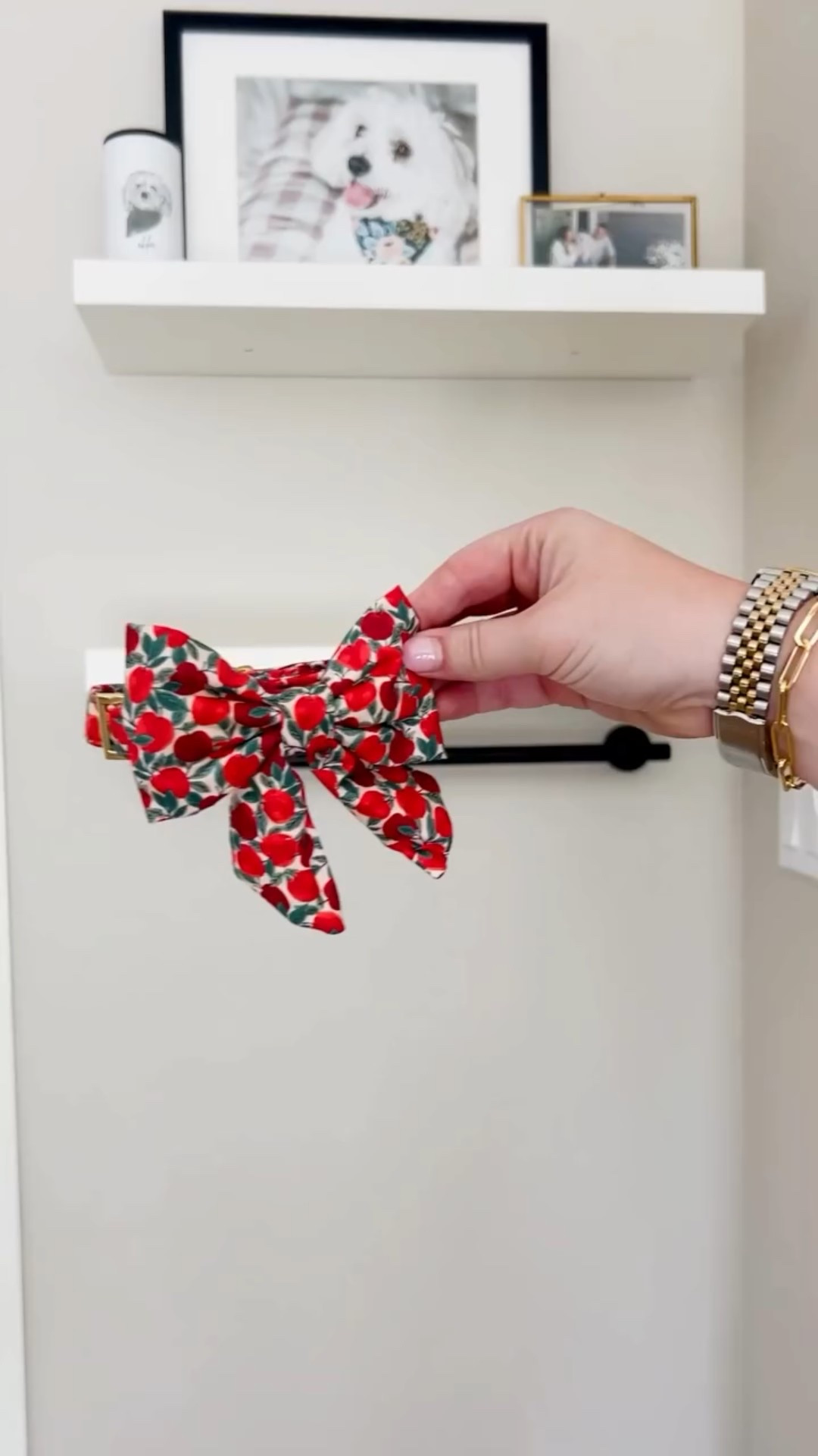 Closet refresh, but make it fall 🍁
Chloe’s upgraded her wardrobe with @thefoggydog fall collection for the season. Closet goals? Achieved.
________
Shop the collection and use code CHLOE-10 for 10% off @thefoggydog 
.
.
.
.
.
#thefoggydog #fall #fallstyle #autumn #autumnstyle #closetrefresh #closetupgrade #trendingreels #trendingreel #instareel #instadogs #instalike #instafashion #dogstagram #dogoftheday #trending #trendy #trends #doggo #doggram #dogstyle #dogowner #dogowners #doglife #doglovers #doglove #doglifestagram #doglifestyle #ılovemydog #dogmama

#LTKPets