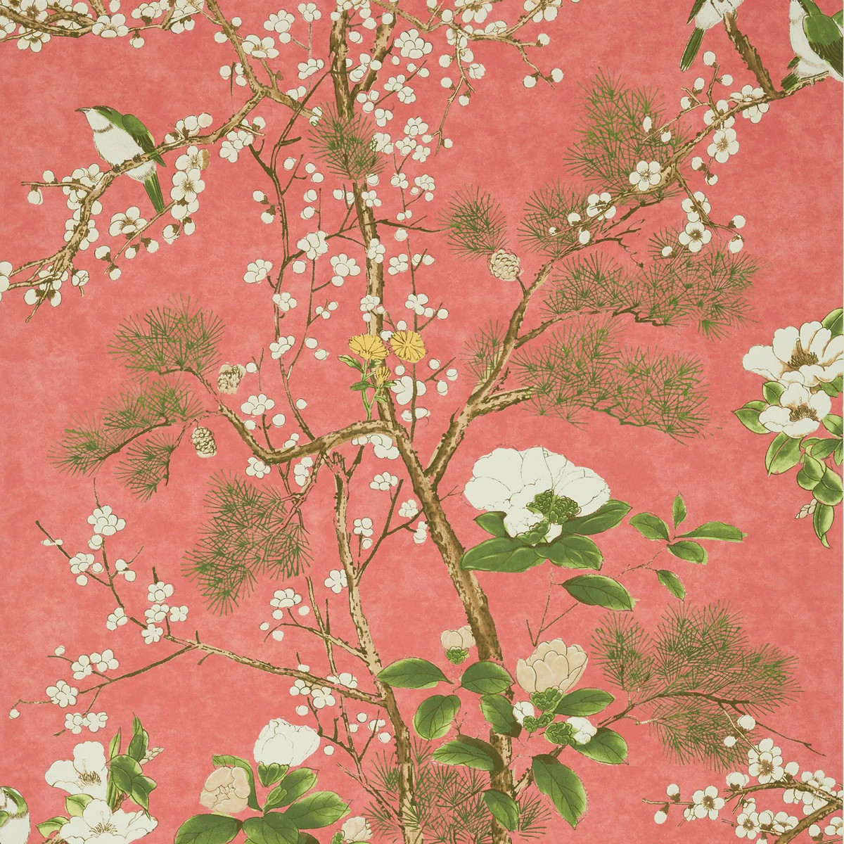Thibaut Katsura Coral Wallpaper | DecoratorsBest