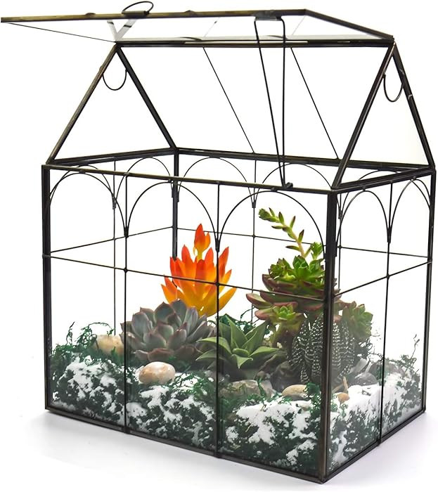 Large Tall Plant Greenhouse Terrarium Glass with Lid, 8.7"X5.9"X10.6" Inches Indoor Tabletop Orch... | Amazon (US)