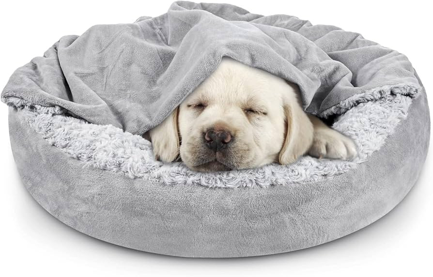 JOEJOY Small Dog Bed Cat Bed with Hooded Blanket, Cozy Cuddler Luxury Puppy Pet Bed, Donut Round ... | Amazon (US)