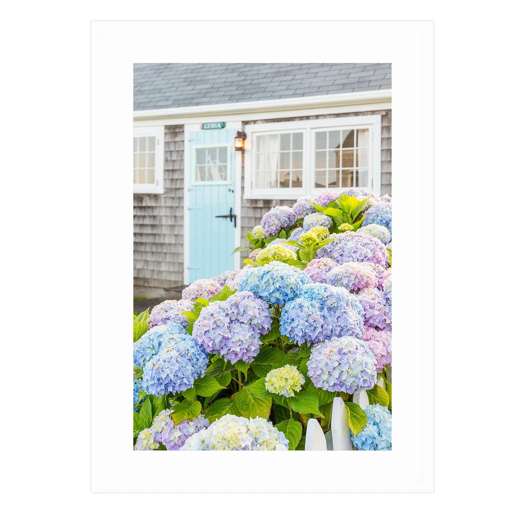 Lydia Cottage Hydrangeas Framed Nantucket Art Print - Etsy | Etsy (US)