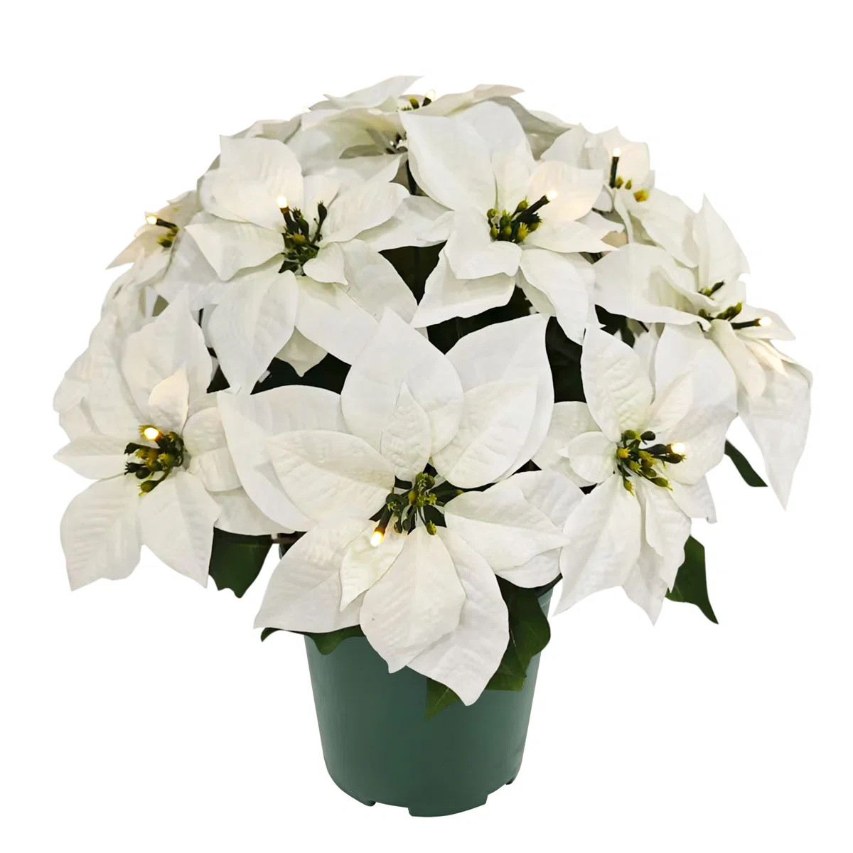 22 Inch Pre-Lit Battery-Operated Artificial Potted White Poinsettias | Wayfair North America