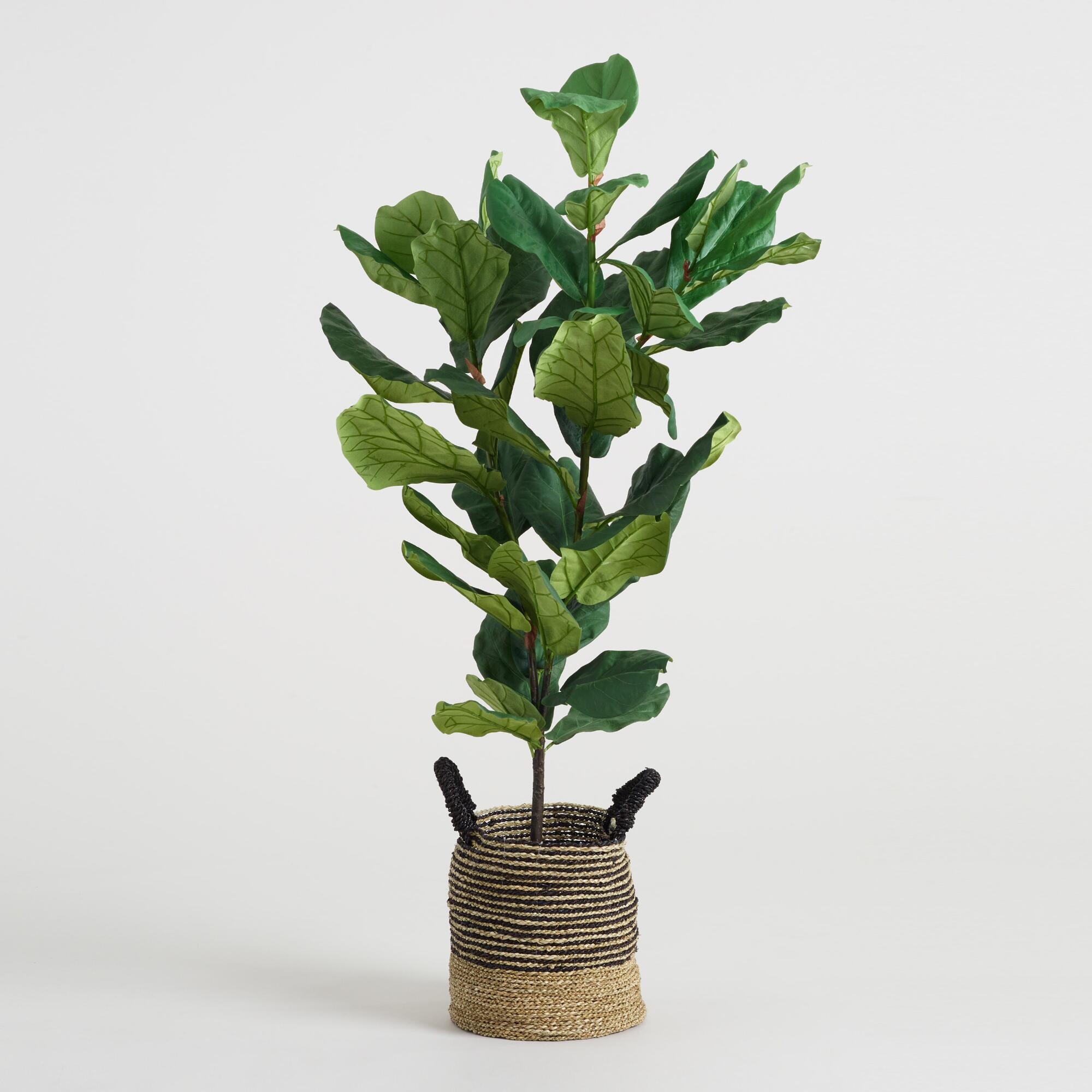Faux Fiddle-Leaf Fig Plant: Green by World Market | World Market