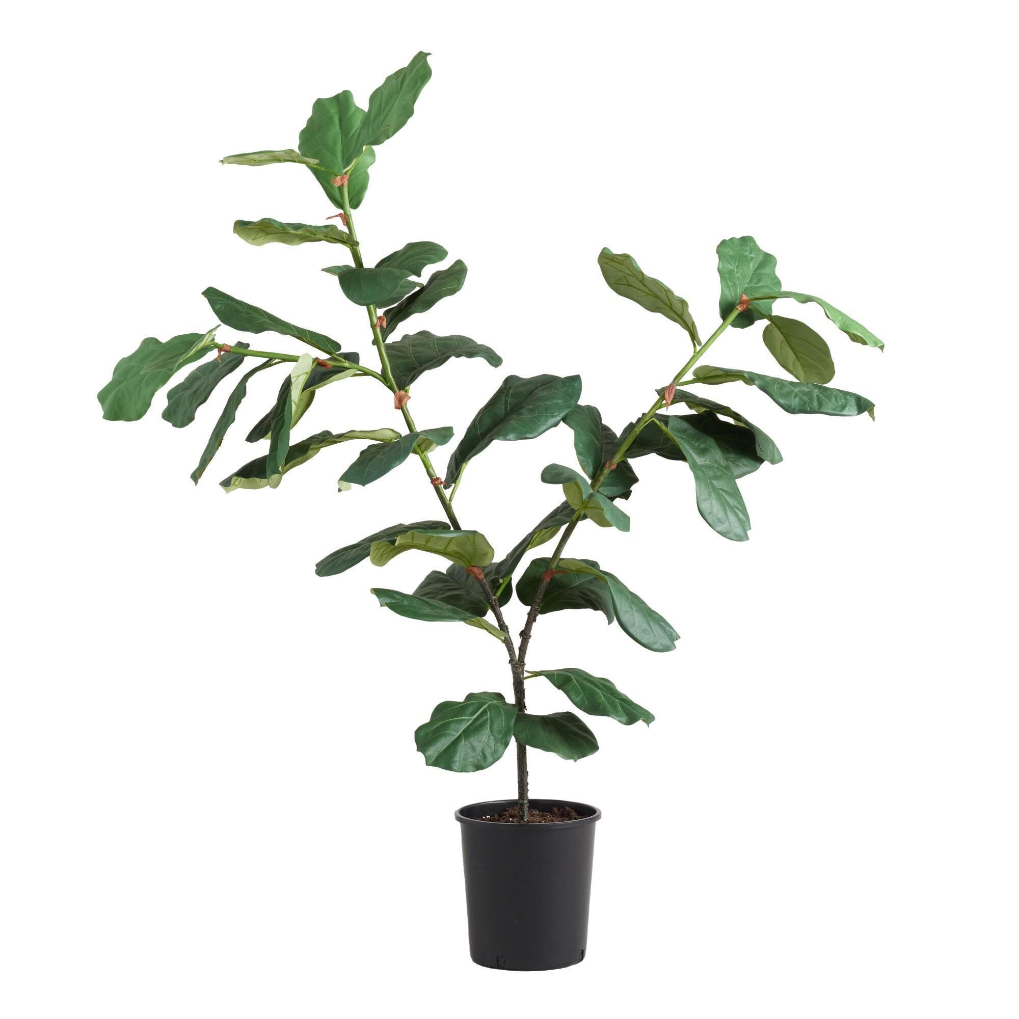5 Ft Faux Fiddle Leaf Fig Plant: Green by World Market | World Market