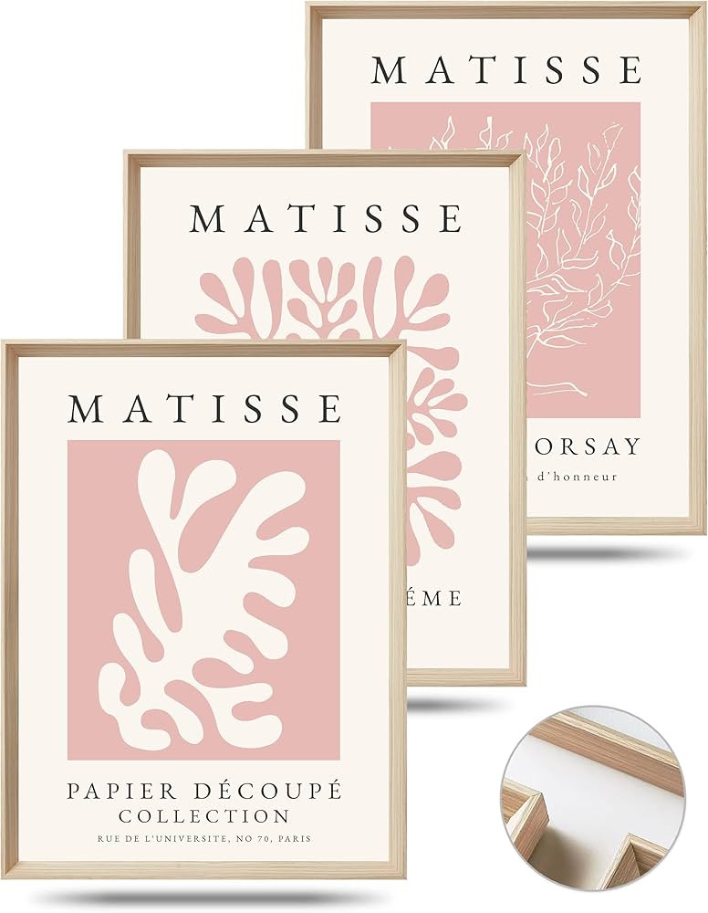 Framed Matisse Pink Canvas Wall Art,Abstract Matisse Canvas Wall Decor,16x12IN High Framed Wood D... | Amazon (US)