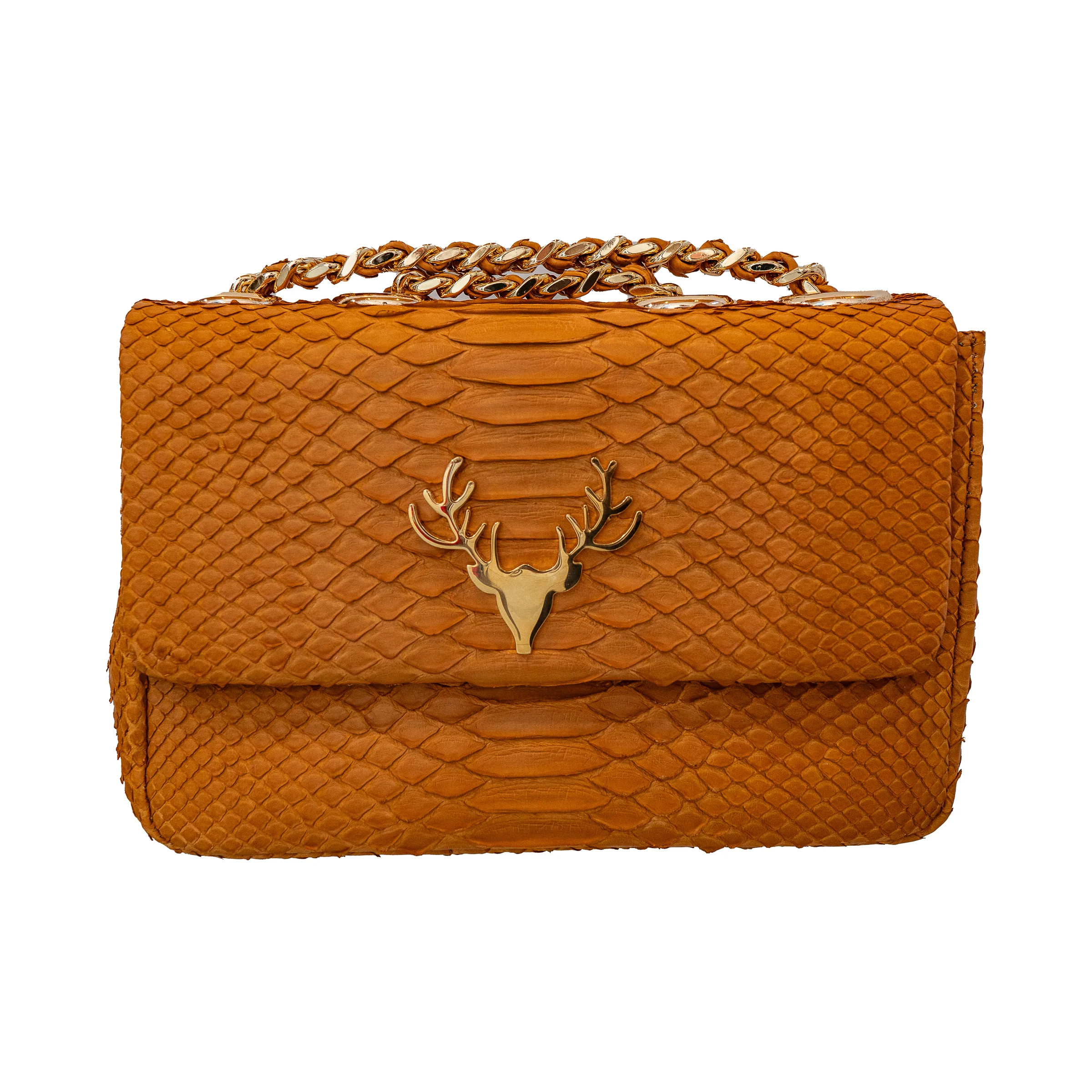 Python JW Medium--In Stock Colors | Taxidermy