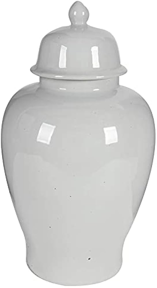 A&B Home 23" Ginger Jar with Lid-White Porcelain Ginger Jars for Home Décor,Large | Amazon (US)