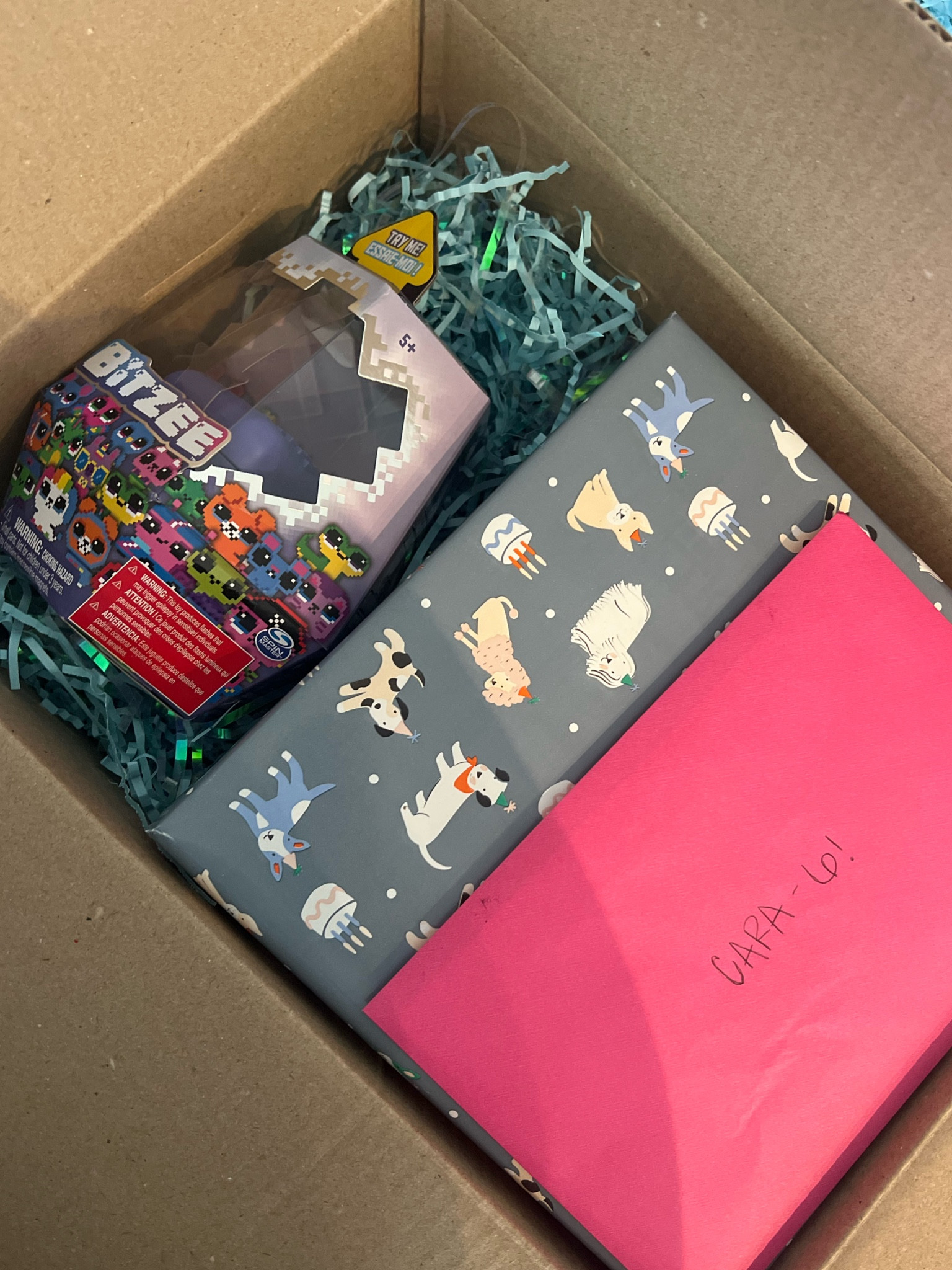 6-year-old birthday package! 