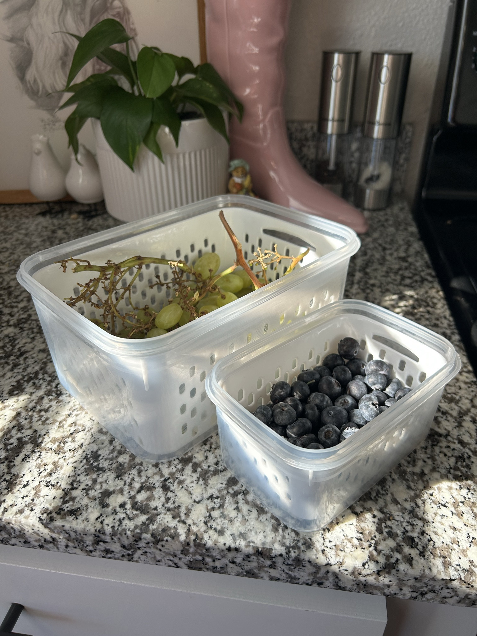 the best way to clean & store your fruit✨🤍☁️

#LTKFindsUnder50 #LTKGiftGuide #LTKHome