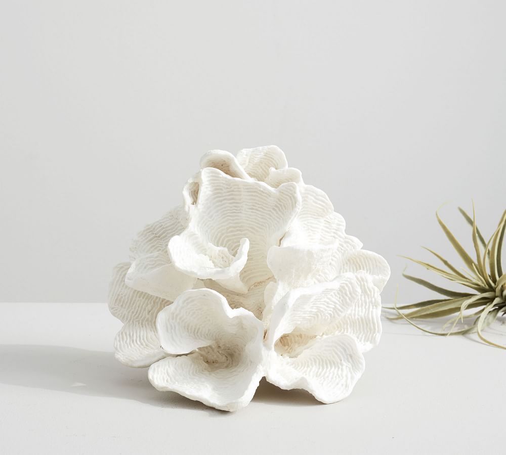 Faux White Wave Coral | Pottery Barn (US)