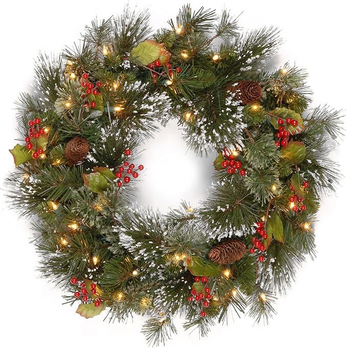 National Tree 24 Inch Wintry Pine Wreath with Cones, Red Berries, Snowflakes and 50 Battery Opera... | Amazon (US)