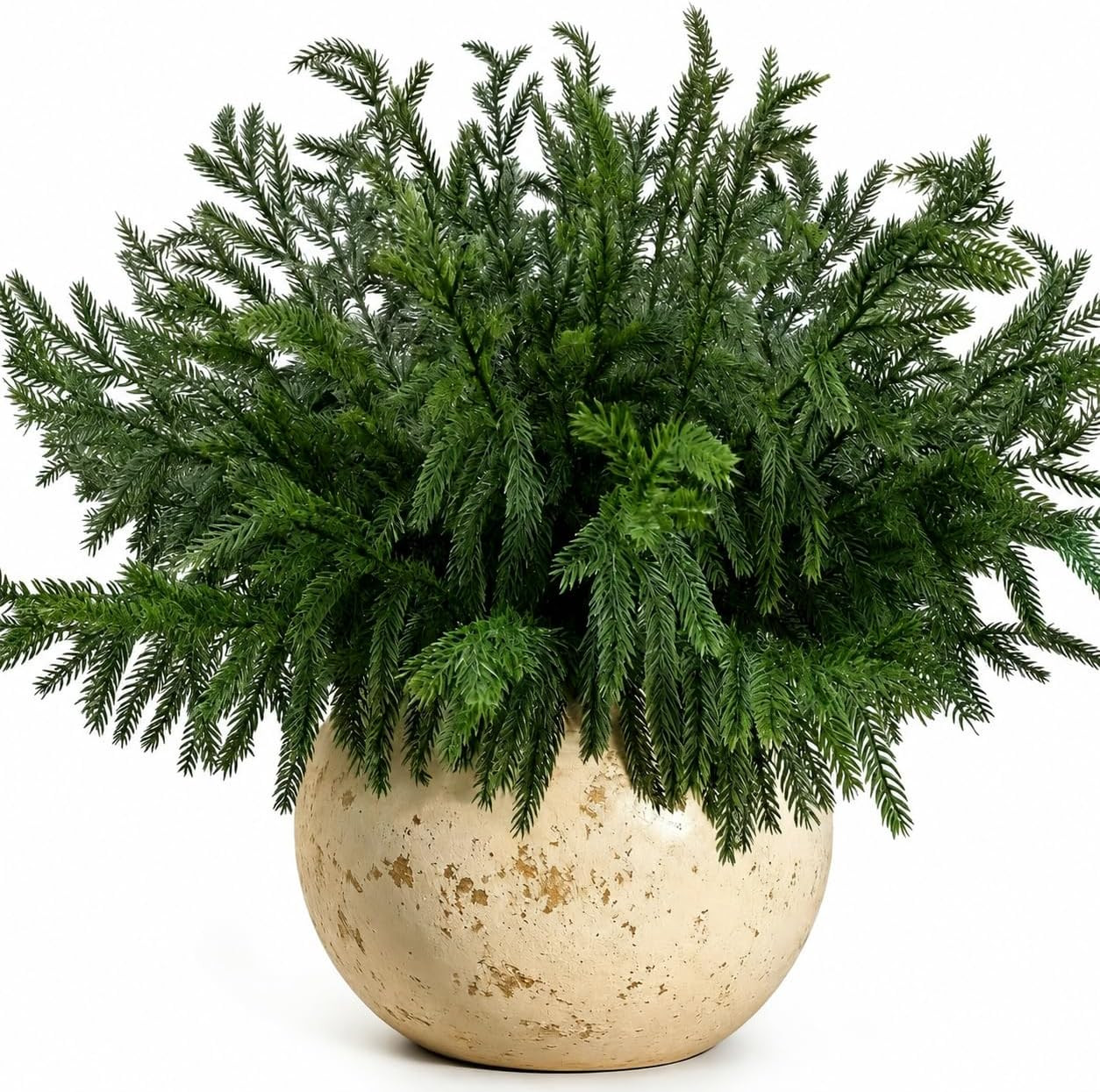 12 Bundles Artificial Norfolk Pine Stems, Real Touch Christmas Greenery | Amazon (US)