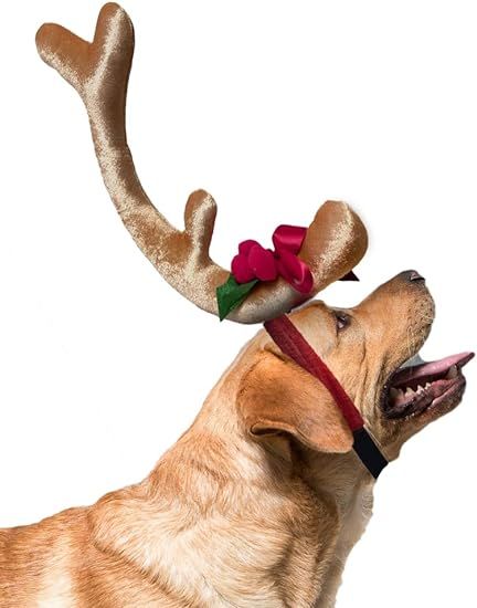 SWEET MAX Antler Headband with Mistletoe Dog Costume Green Monster Christmas Costume Pets Dogs La... | Amazon (US)