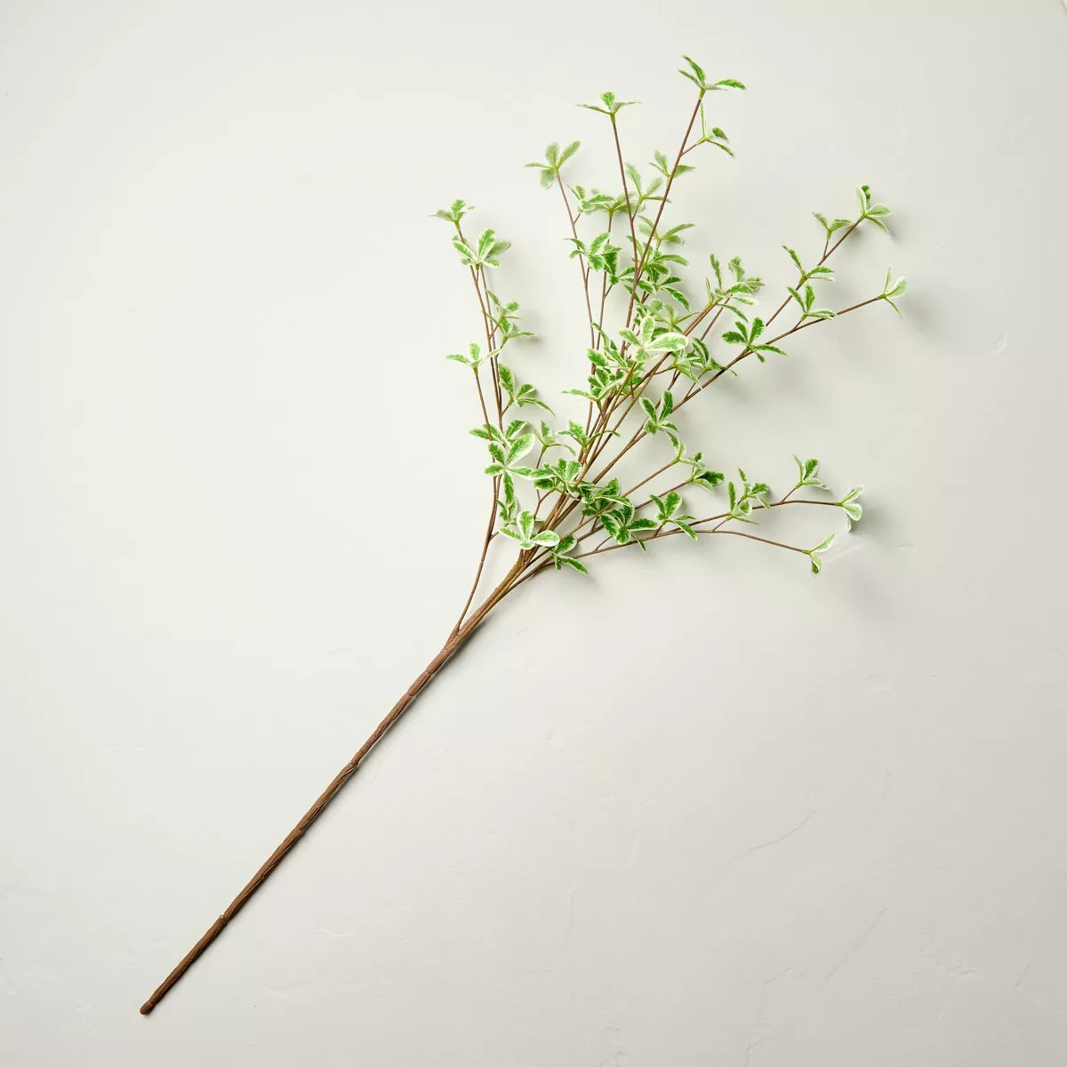 36" Faux Variegated Terminalia Leaf Branch - Hearth & Hand™ with Magnolia | Target