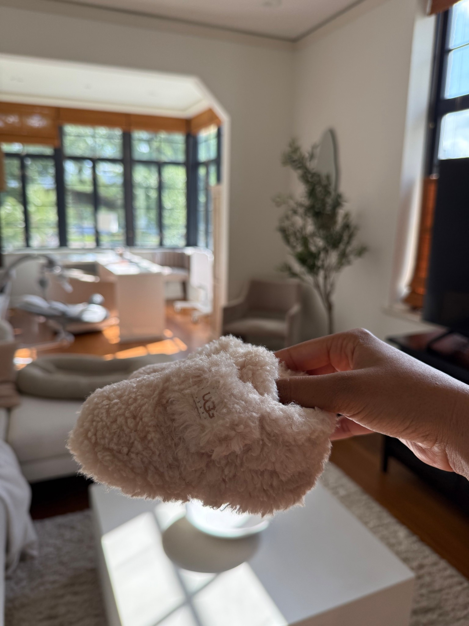 Love so much we have in 0-6 months and 6-12 months! 

#LTKBaby #LTKFindsUnder50