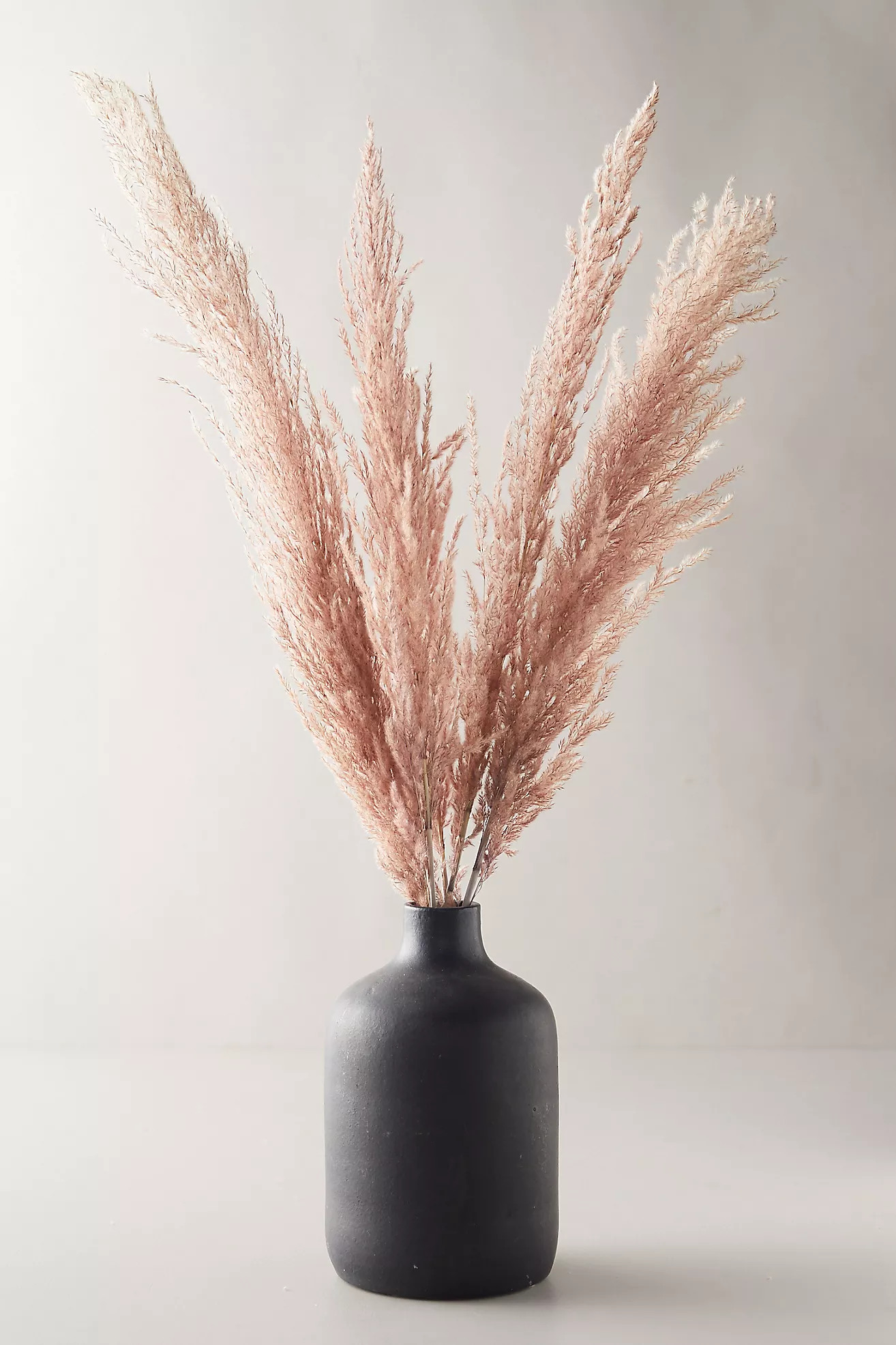 Dried Pampas Grass Bunch | Anthropologie (US)