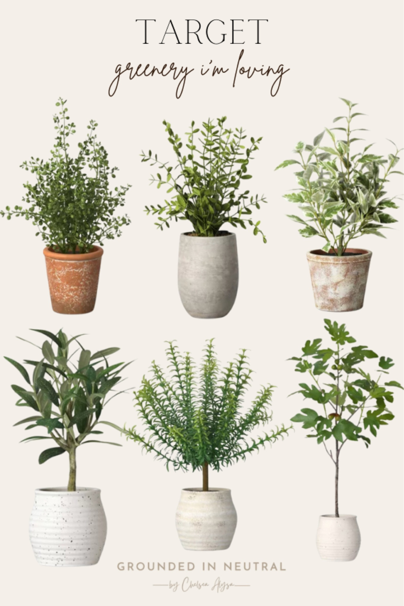 Target greenery in loving! These are perfect for your living room, kitchen or bedroom! Almost all of these are $20! 

#LTKHome #LTKFindsUnder100 #LTKFindsUnder50