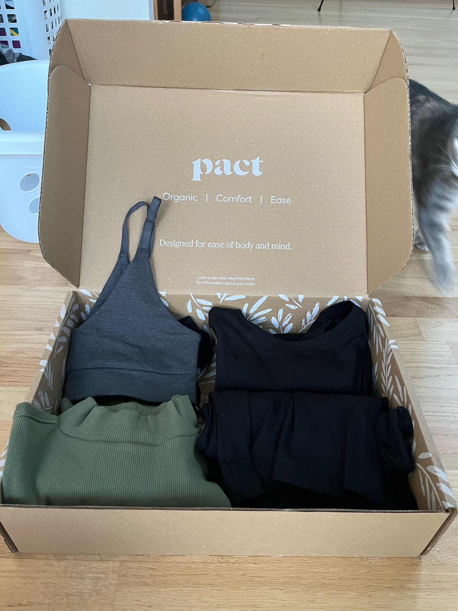 Pact haul!

Overall I really liked the fort of these clothes and it’s a great price point as far as organic clothing brands go. I wa she really true to size but would recommend ordering up when it comes to bras and sleep shirts.

#LTKWorkwear #LTKStyleTip #LTKMidsize